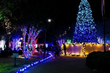 Christmas Lights in Abilene Texas