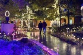 Christmas Lights in Amarillo Texas