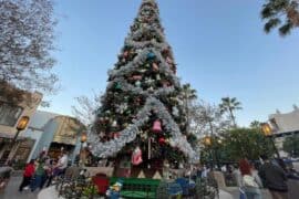 Christmas Lights in Anaheim California