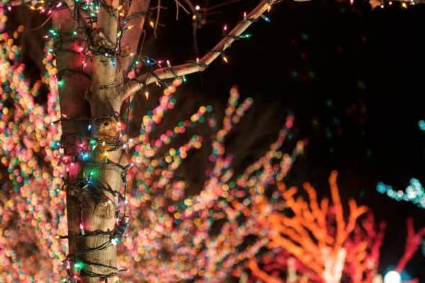 Christmas Lights in Auburn Washington