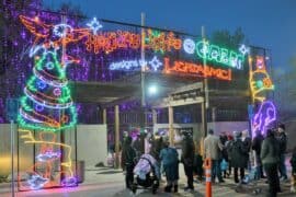 Christmas Lights in Bakersfield California