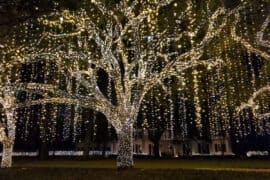 Christmas Lights in Baytown Texas