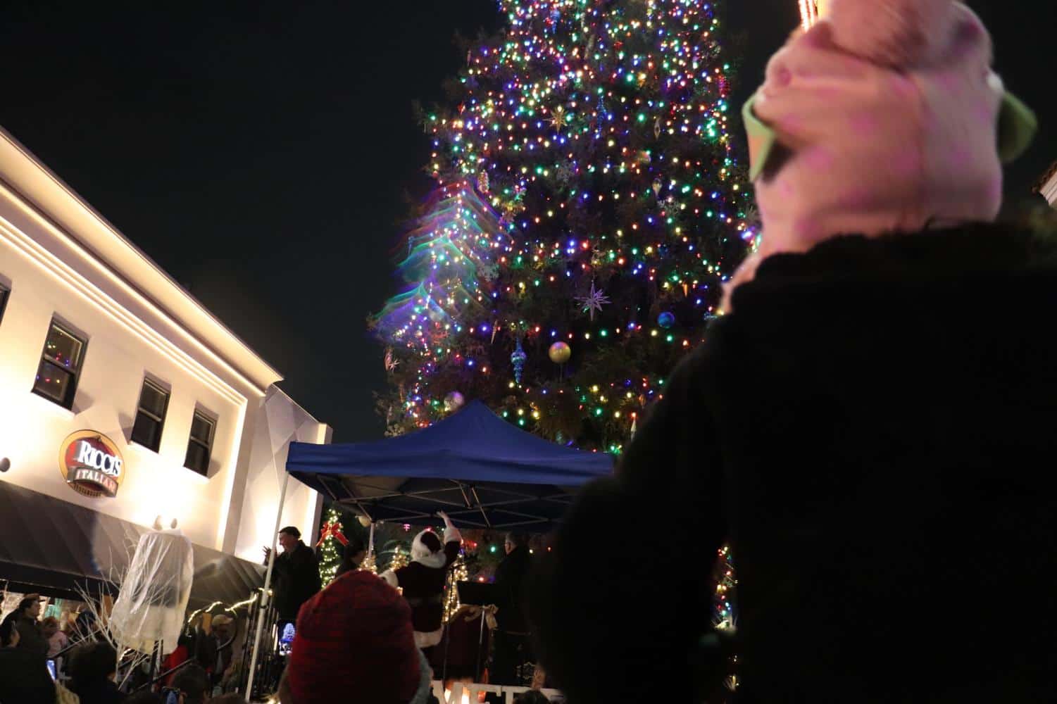 Christmas Lights in Bellflower California