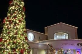 Christmas Lights in Buena Park California