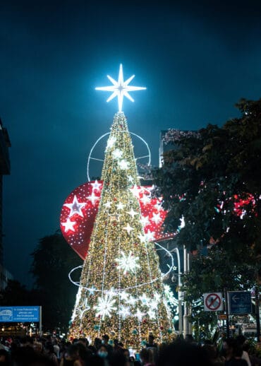 Christmas Lights in Bukit Timah