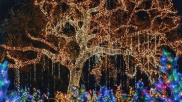 Christmas Lights in East Los Angeles California