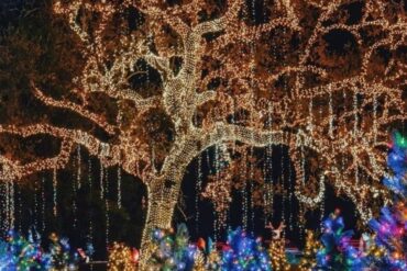 Christmas Lights in East Los Angeles California