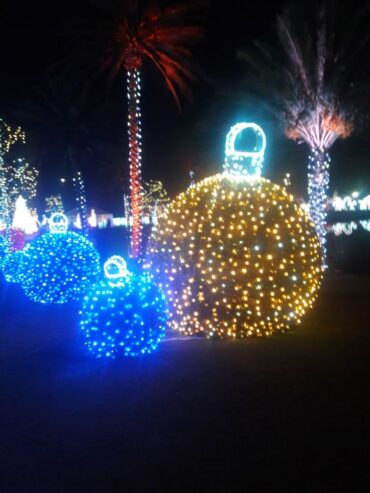 Christmas Lights in Eastvale California