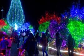 Christmas Lights in Everett Washington