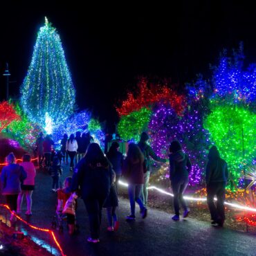 Christmas Lights in Everett Washington