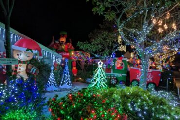 Christmas Lights in Fremont California