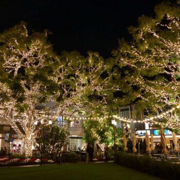 Christmas Lights in Garden Grove California