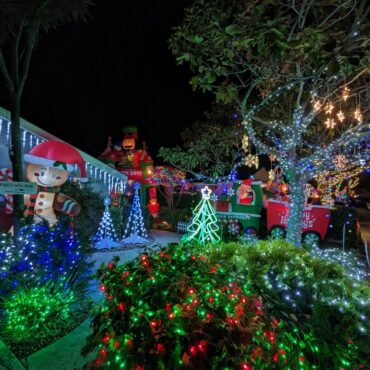 Christmas Lights in Hayward California