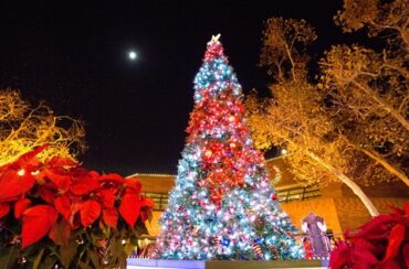 Christmas Lights in Lakewood California