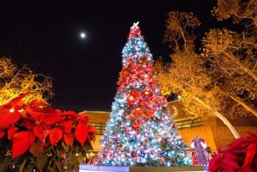 Christmas Lights in Lakewood California