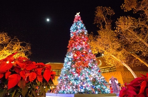 Christmas Lights in Lakewood California