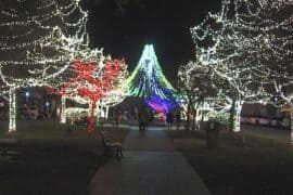 Christmas Lights in Macon-Bibb County, Georgia