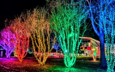 Christmas Lights in North New Territories