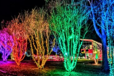 Christmas Lights in North New Territories