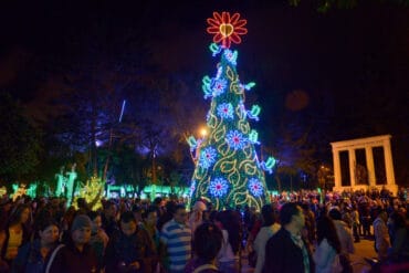 Christmas Lights in Novena