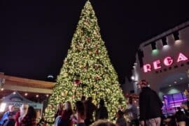 Christmas Lights in Oceanside California