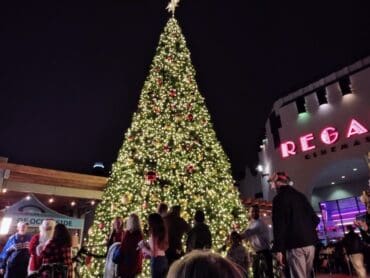 Christmas Lights in Oceanside California