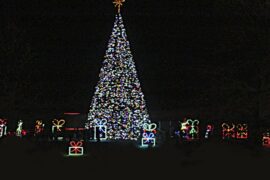 Christmas Lights in Odessa Texas