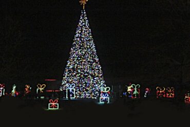 Christmas Lights in Odessa Texas