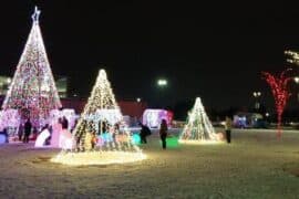 Christmas Lights in Orem Utah