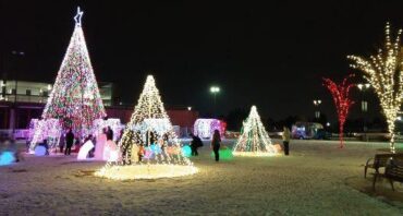 Christmas Lights in Orem Utah