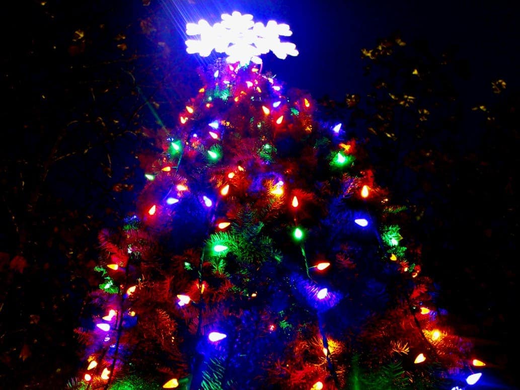 Enjoy the Festive Glow Christmas Lights in Palo Alto California