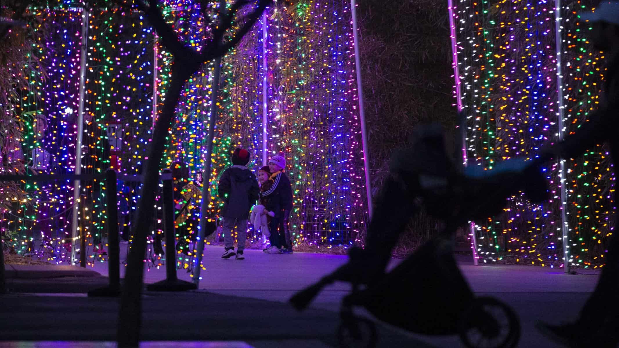 Christmas Lights in Phoenix Arizona