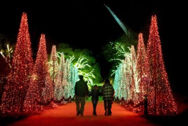 Christmas Lights in Redding California