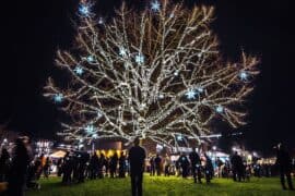 Christmas Lights in Redmond Washington