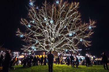 Christmas Lights in Redmond Washington