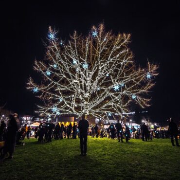 Christmas Lights in Redmond Washington