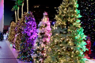 Christmas Lights in Redondo Beach California