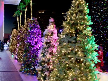 Christmas Lights in Redondo Beach California