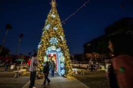 Christmas Lights in San Bernardino California