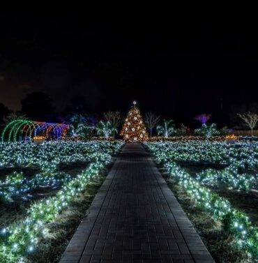 Christmas Lights in Savannah Georgia