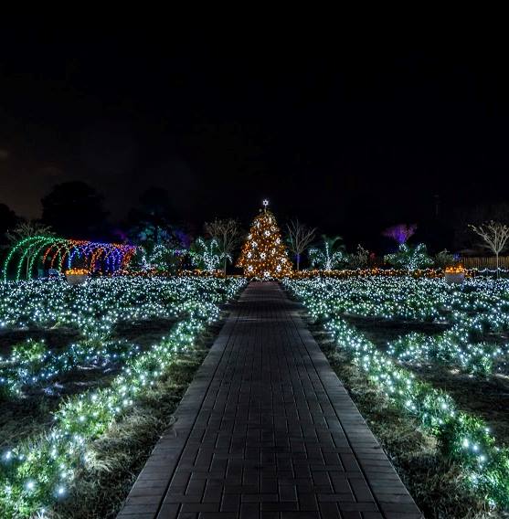 Experience the Spectacular Christmas Lights in Savannah