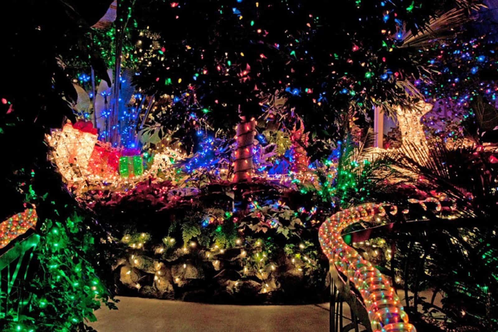 Experience the Magical Christmas Lights in Spokane, Washington