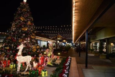 Christmas Lights in Stockton California