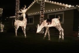 Christmas Lights in Thousand Oaks California