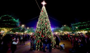 Christmas Lights in Tucson Arizona