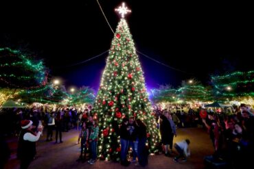 Christmas Lights in Tucson Arizona