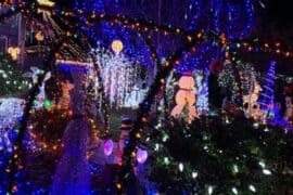 Christmas Lights in Vacaville California