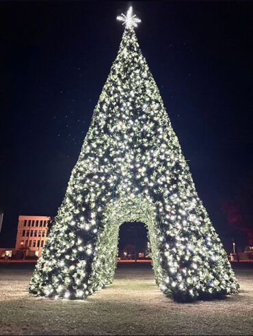 Christmas Lights in Warner Robins Georgia