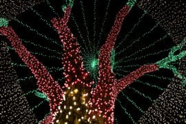 Christmas Lights in Wichita Falls Texas