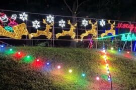 Christmas Lights in Yishun